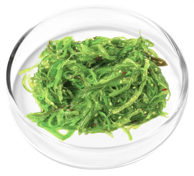 Chlorella vulgaris