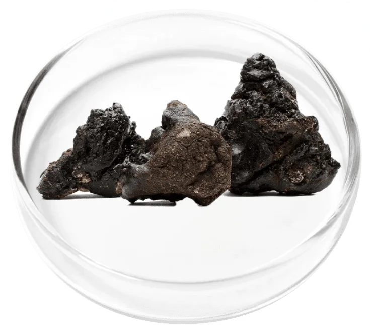 Shilajit Extract